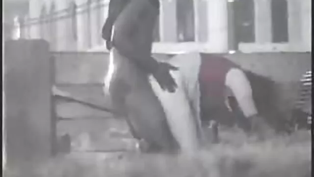 امرأة, الشعر البني, فيديوهات سكس اجنبية مترجمة عيون ضيقة تمتص شعر كبير